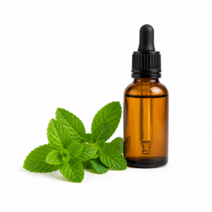 Menta